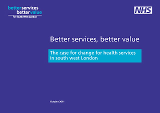 nhs bsbv report